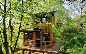 Węgiełek Treehouse